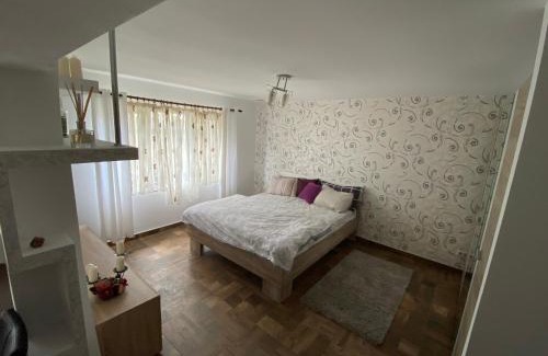Lupeni Appartement | Garsoniera deosebita intr-o zona linistita Straja-Lupeni