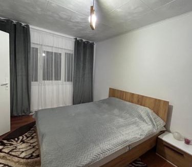 Lupeni Appartement | Garsoniera TOMMY - STRAJA