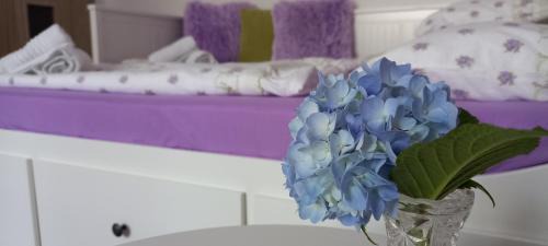 Dvur Kralove nad Labem Appartement | Garsonka ve Dvoře