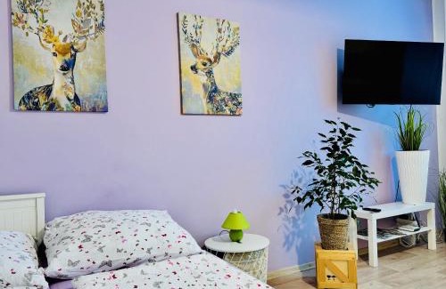 Dvur Kralove nad Labem Appartement | Garsonka ve Dvoře