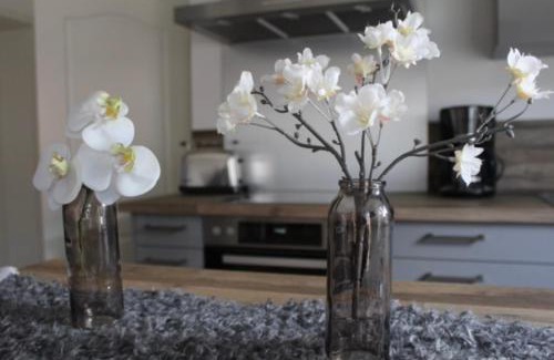 Satow Appartement | Gartenidyll