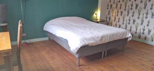 Mol Maison | Gastenkamers in vakantiewoning CasaCuriosa