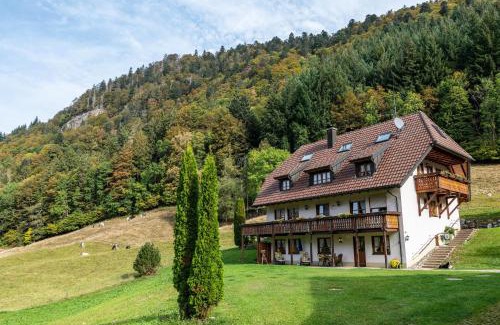 St. Wilhelm Appartement | Gasthaus Zur Linde- Napf