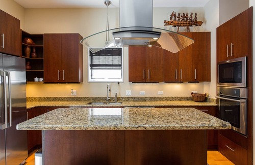 Lake Meadows Maison | Luxe décontracté ~ minutes de McCormick Place, Wintrust Arena, Lakefront & Harbour!