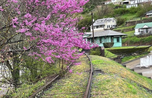 Charlton Heights Maison | Gauley Bridge train station side two