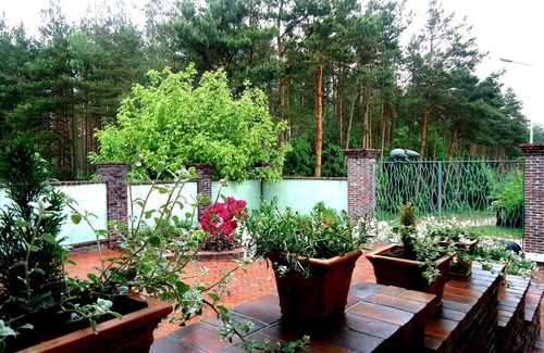 Sulmin Appartement | Gdansk fermer, directement dans la nature, Gdansk