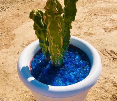 San Tan Valley Maison | Gears n Glass