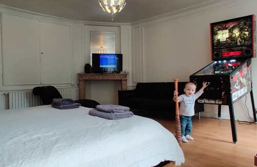 Seurre Autre | Geek Castle : un château full de flippers et arcades