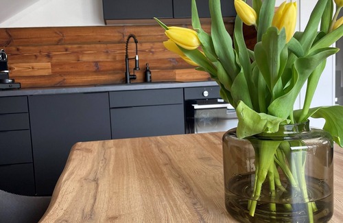 Stryck Appartement | Gemütliche Ferienwohnung im Stryck am Skykwalk Willingen Haustierfreundlich!