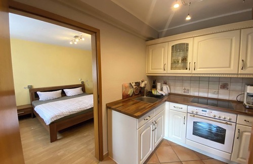 Oberwiesenthal Appartement | Gemütliche Ferienwohnung Über 2 Etagen mit Garten und Kamin, Haustierfreundlich!