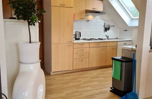 Frankenau Maison | Gemütliche Ferienwohnung im Ferienpark Frankenau