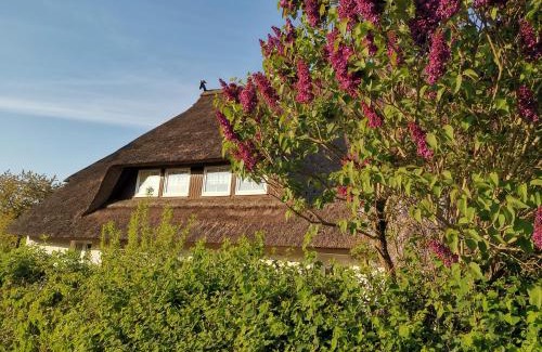 Stove Appartement | Gemütliche Ferienwohnung unterm Reetdach