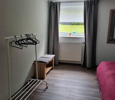 Sarreguemines Appartement | Gemütliche Oase - Geräumige Unterkunft