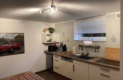 Sarreguemines Appartement | Gemütliche Oase - Geräumige Unterkunft