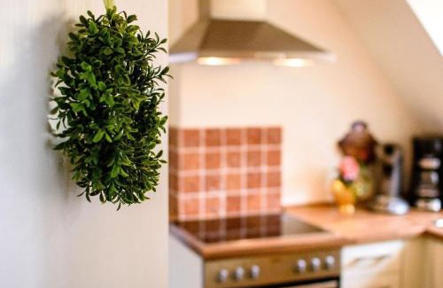 Bracht Appartement | Gemütliche Wohnung in Bracht mit Garten