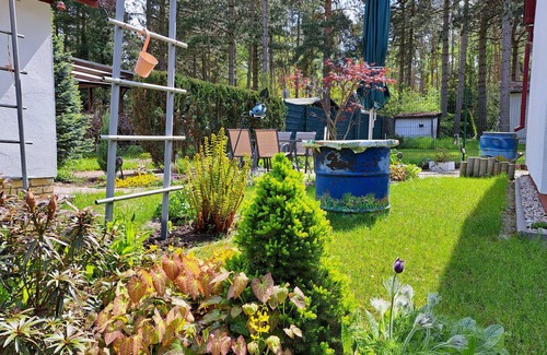 Zschepplin Maison | Gemütlicher Bungalow am Rand der Dübener Heide