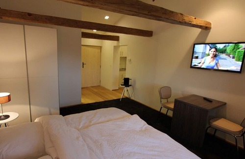 Bad Birnbach Appartement | Appartement confortable de 29 m² avec balcon orienté au sud
