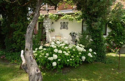 Bohnsdorf Maison | gemütliches Gästehaus Berlin Bohnsdorf, nähe Flughafen Schönefeld