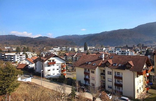 Wehr Appartement | Gemütliches Zimmer mit TV und Gemeinschaftsbad