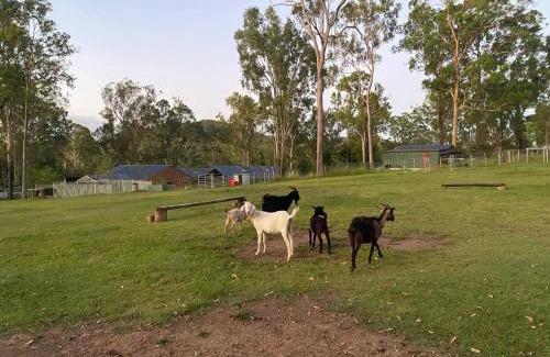 Tamborine Maison | Gemmas Animal Farm by Tiny Away
