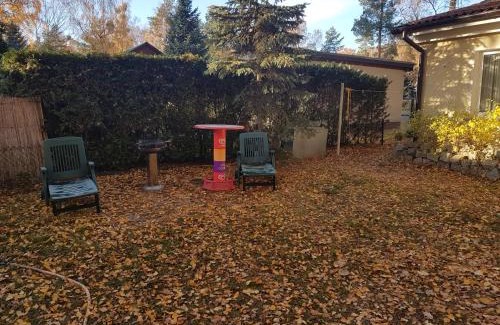 Schonebeck Maison | Gemutlicher Ferienbungalow am Felsensee bei Pretzien