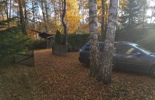 Schonebeck Maison | Gemutlicher Ferienbungalow am Felsensee bei Pretzien