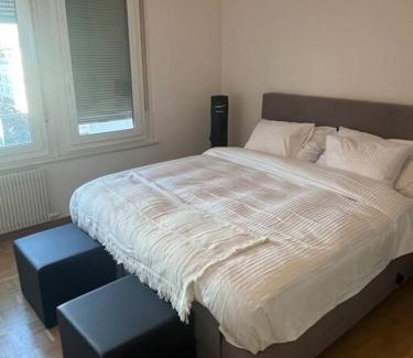 Jargonnant Appartement | Genève magnifique appartemens aux Eaux vives