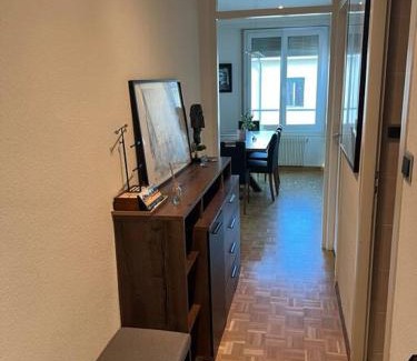 Jargonnant Appartement | Genève magnifique appartemens aux Eaux vives