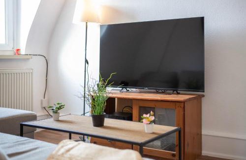 Mulhouse Appartement | Generous 3-bedrooms under the roof downtown - Dodo et Tartine