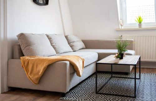 Mulhouse Appartement | Generous 3-bedrooms under the roof downtown - Dodo et Tartine