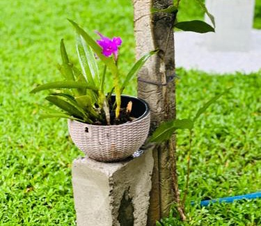 Seeduwa - Katunayake Maison | Gert's Aerovista villa