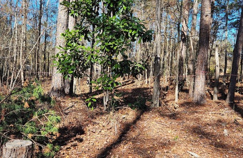 Appling Location De VR | Get Away in a private full 1acre lot in the Columbia County city of Appling.