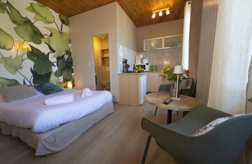Riquewihr Appartement | GEWURZTRAMINER - Studio au pied du vignoble - rénové récemment - parking gratuit