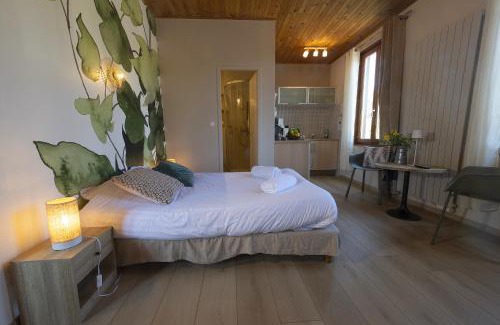 Riquewihr Appartement | GEWURZTRAMINER - Studio au pied du vignoble - rénové récemment - parking gratuit