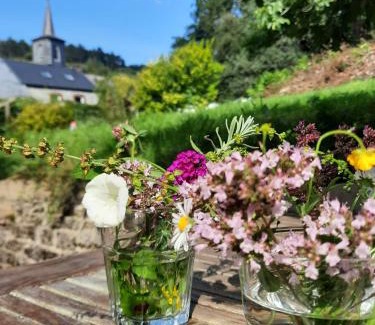 Doische Maison | Gezellige villa met open haard en zonnige tuin.