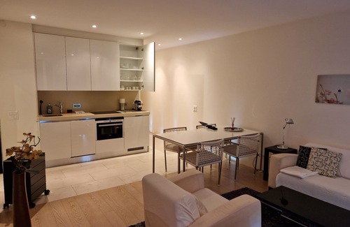 Castagnola Appartement | Giardino Violetta - great view, private palm garden