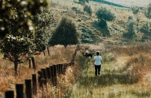 Tarset Lit Et Petit-Déjeuner | Gibshiel Farm Bed and Breakfast