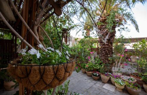 Neve Zohar Maison | Gil's Guest Rooms
