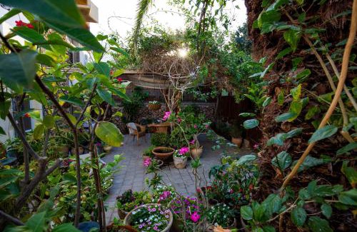 Neve Zohar Maison | Gil's Guest Rooms