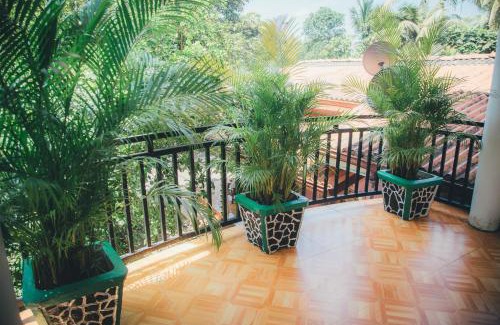 Gintota Maison | Gin Green Villa