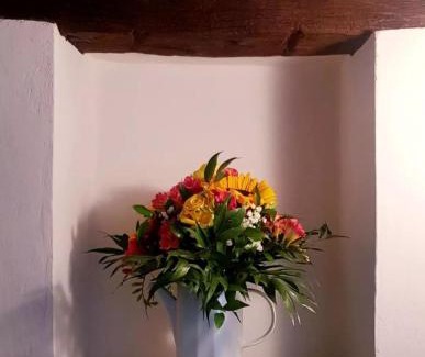 Panzano in Chianti Appartement | Ginevra Casa Vacanze
