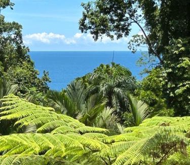 Chiguata Maison | Ginger and Cacao, Luxury Villas and Cottage with Pool and Ocean Views