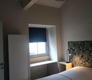 Bagneres-de-Bigorre Appartement | Ginkobiloba : Appartement cosy en cœur de ville