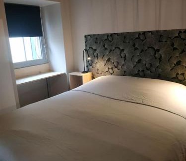 Bagneres-de-Bigorre Appartement | Ginkobiloba : Appartement cosy en cœur de ville