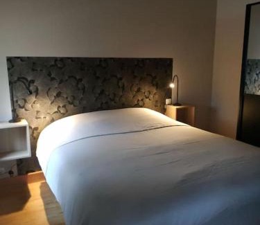 Bagneres-de-Bigorre Appartement | Ginkobiloba : Appartement cosy en cœur de ville