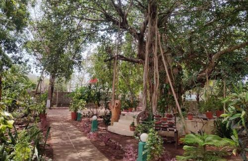 Talala Hôtel | Gir Birding Lodge