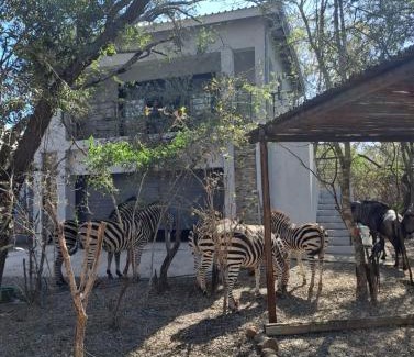 Marloth Park Appartement | Giraffe Studio @ Kruger