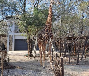 Marloth Park Appartement | Giraffe Studio @ Kruger
