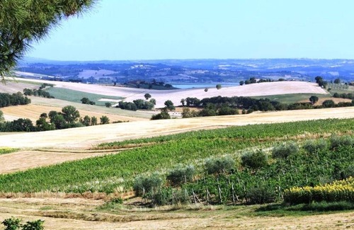 Castiglione del Lago Appartement | Girasole-rolling Hills, Sunflowers + Pour toute la famille