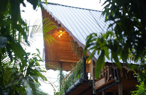 Habarana Cottage | Gisban Wood Cabana & Hostel ( Luxury Wood Cabana In Habarana )